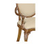 Shield Back Satinwood Arm Chair
