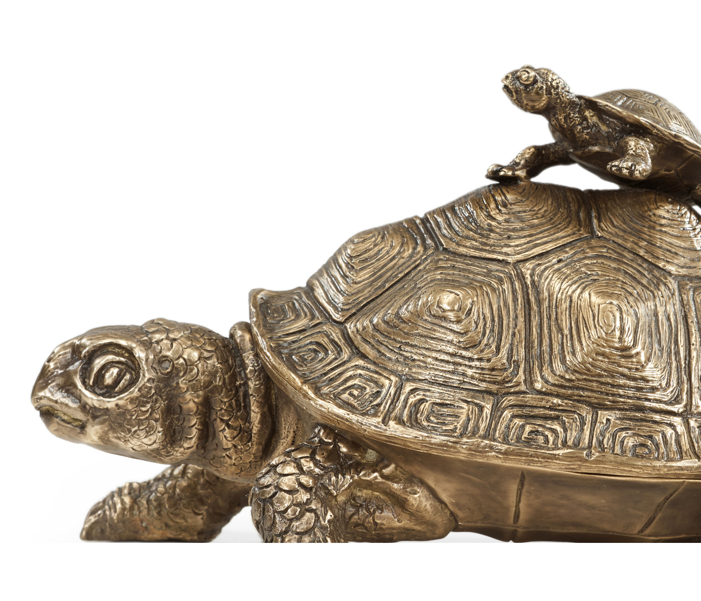 Anitque Light Brown Brass Turtle Container