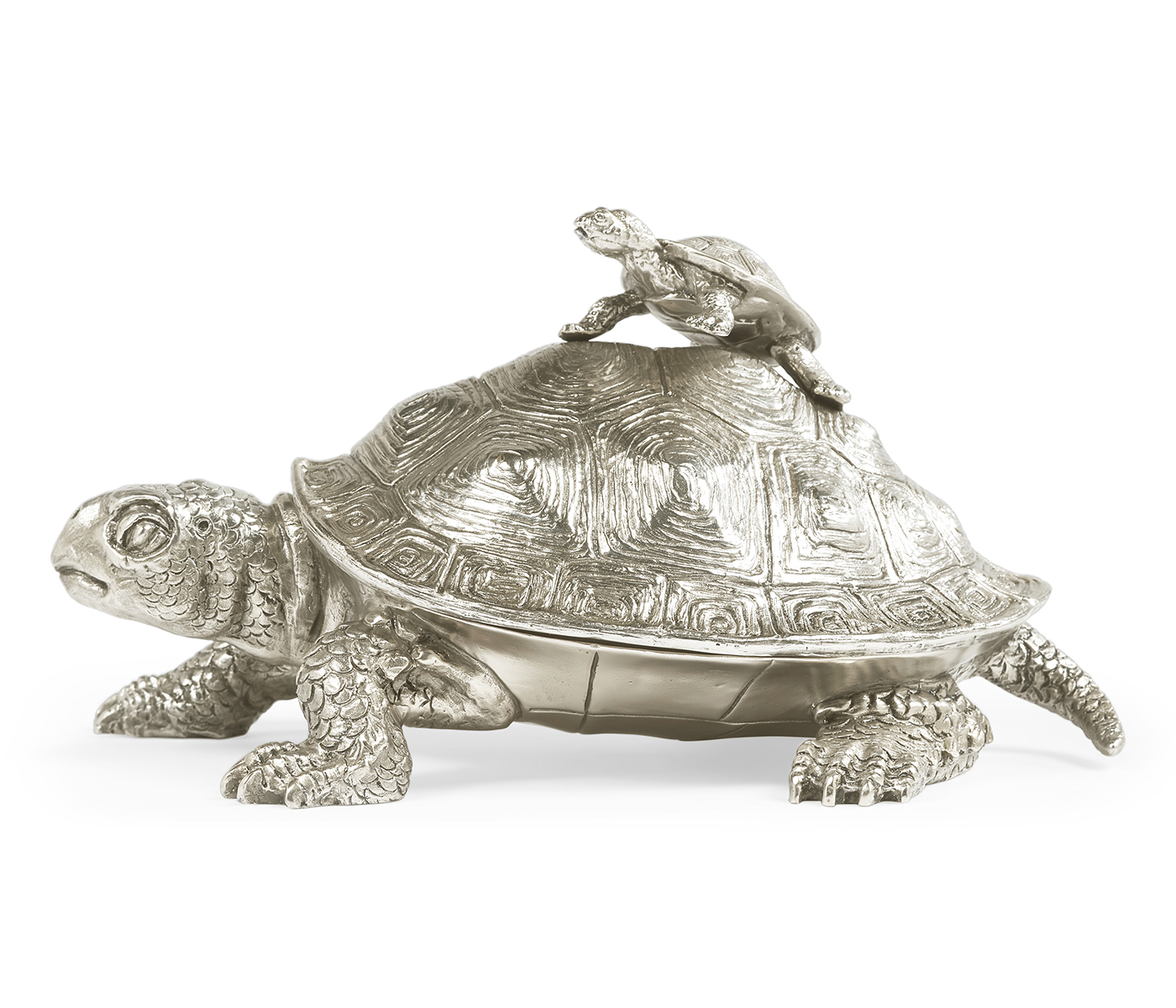 White Stainless Steel Turtle Container