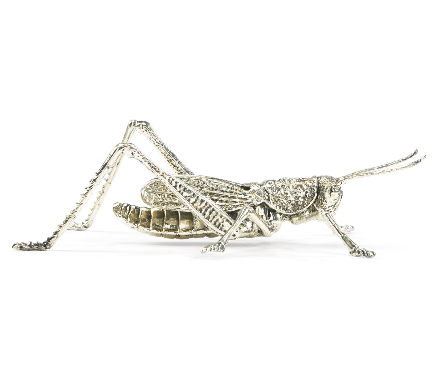 White Brass Grasshopper