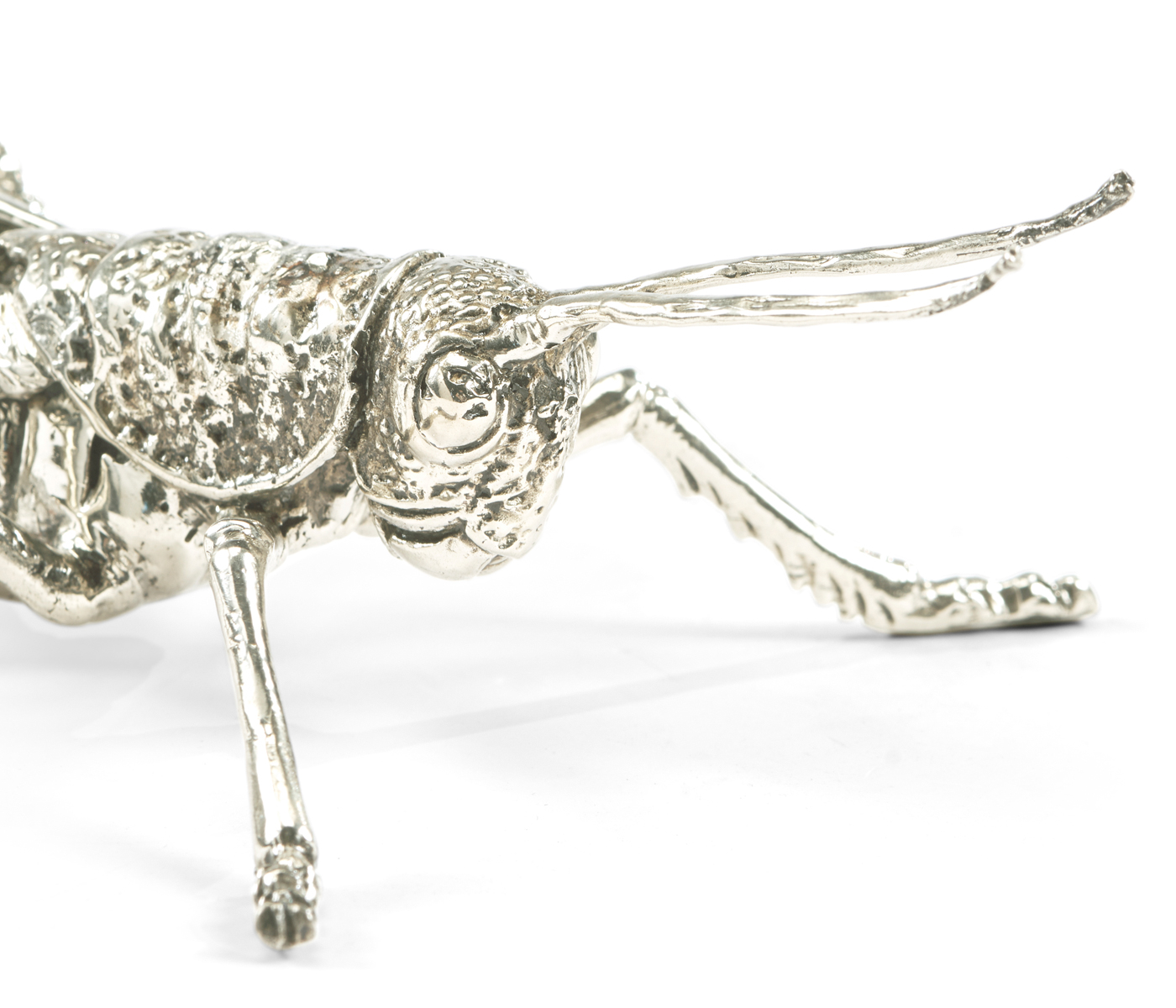 White Brass Grasshopper
