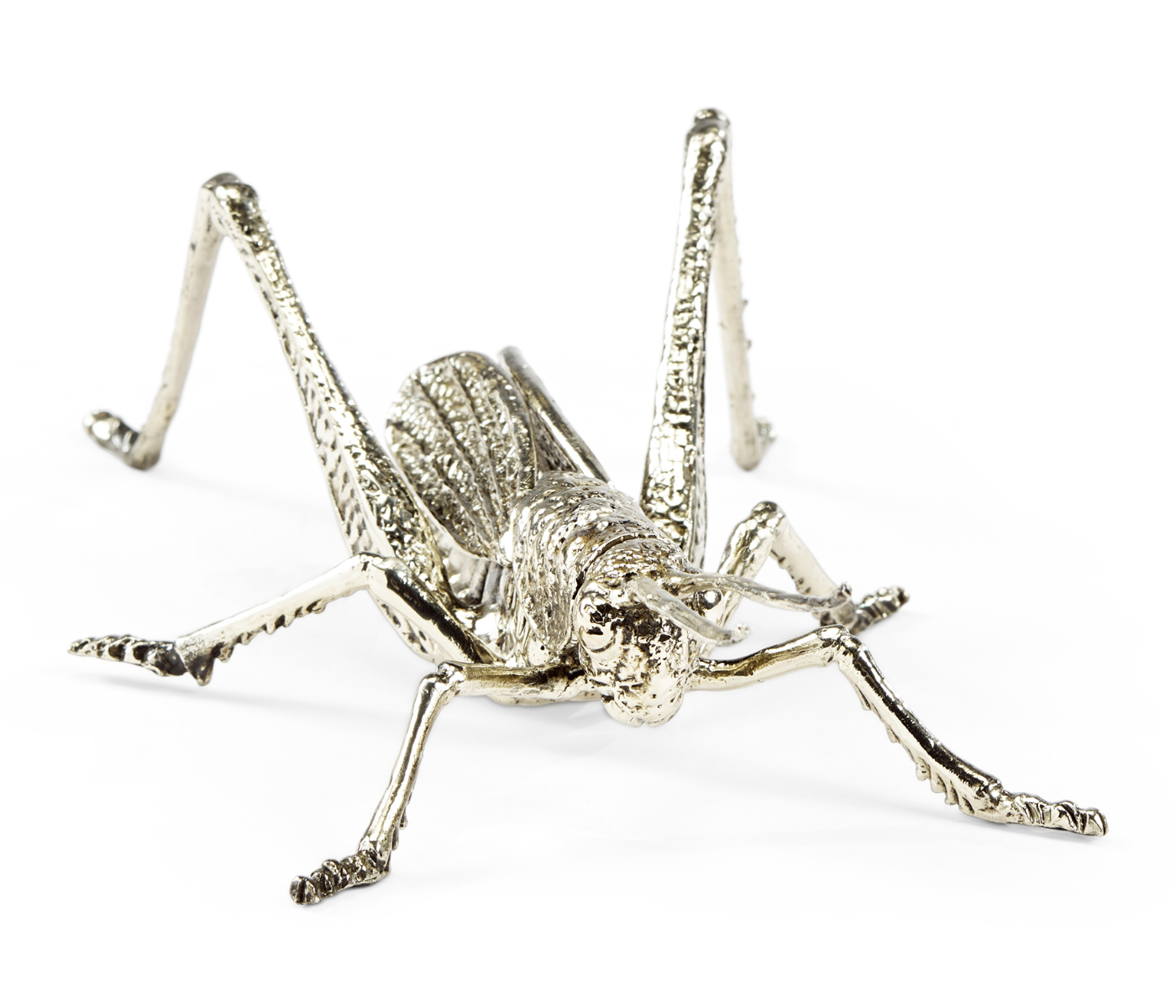 White Brass Grasshopper