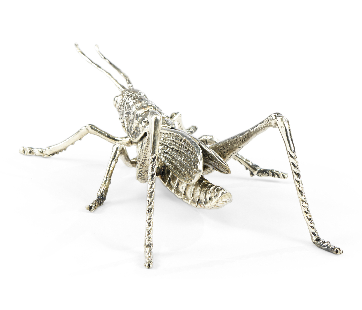 White Brass Grasshopper