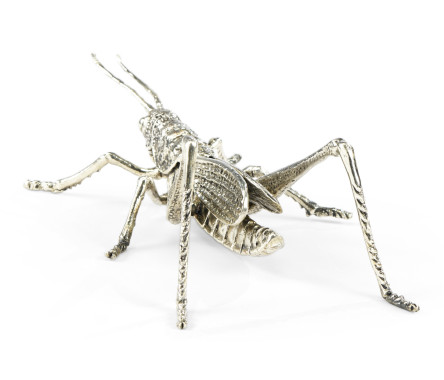 White Brass Grasshopper