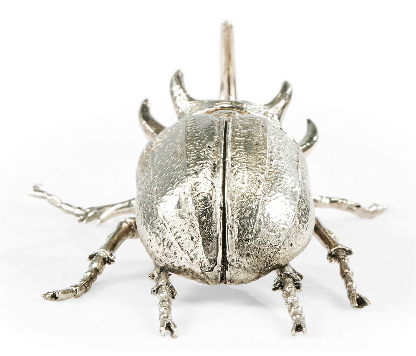 White Brass Five-Horned Rhinoceros Beetle
