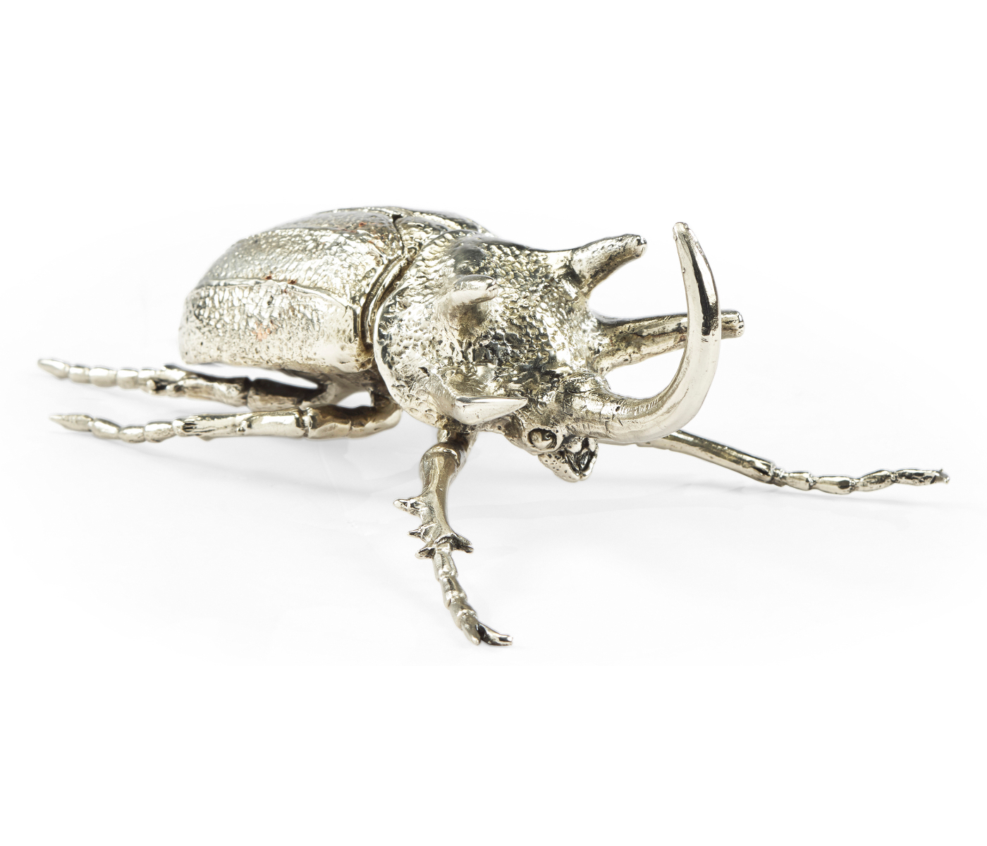 White Brass Five-Horned Rhinoceros Beetle