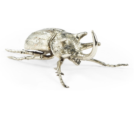 White Brass Five-Horned Rhinoceros Beetle