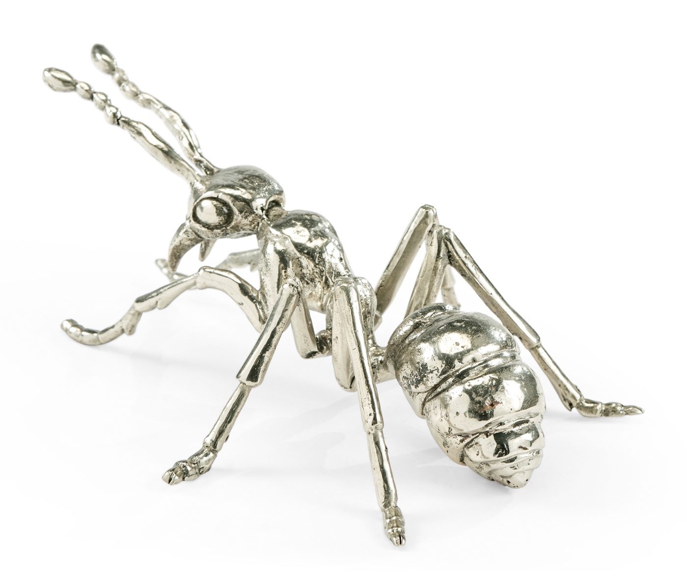 White Brass Ant