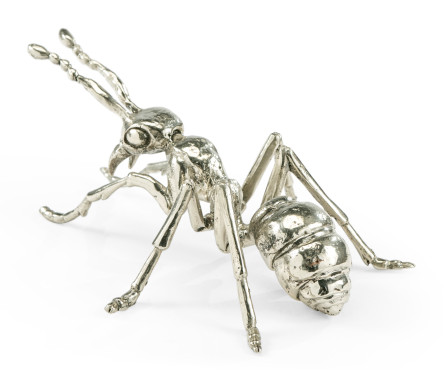 White Brass Ant