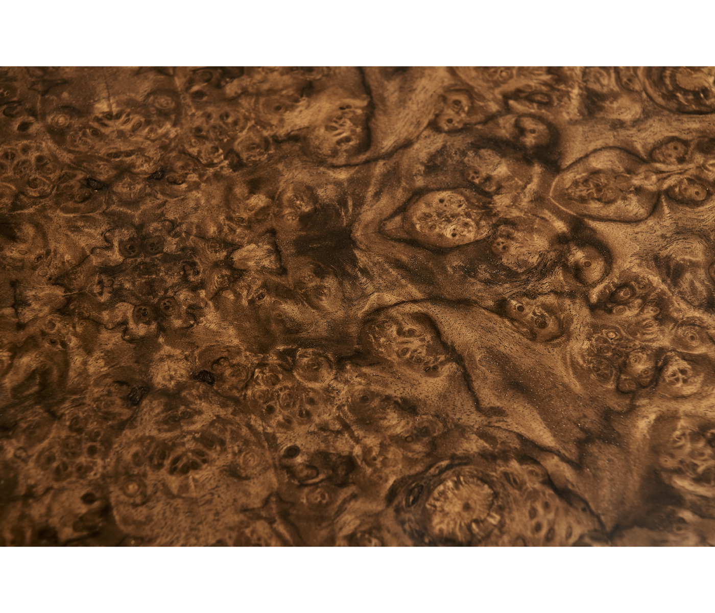 Jacques Radius End Table