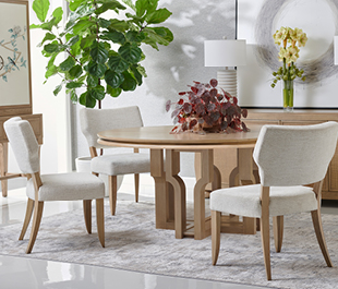 JC Edited - Cambrio Collection